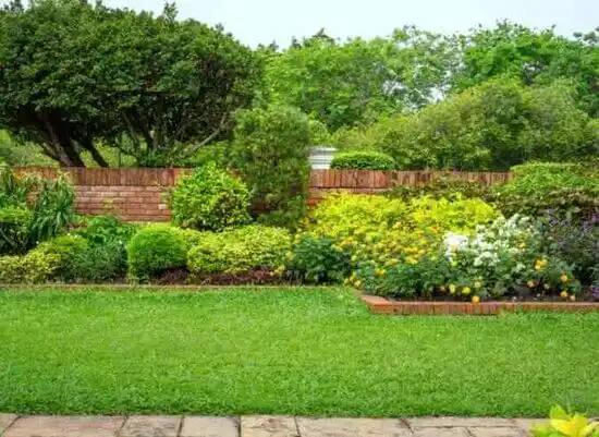 landscaping services Hollyvilla